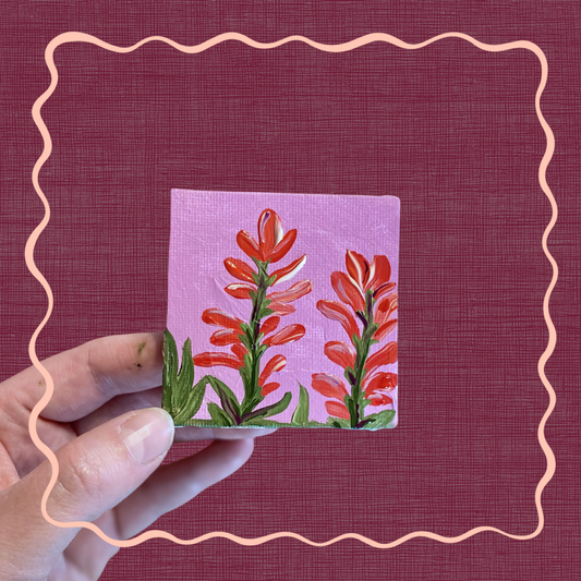 Indian Paintbrush Mini