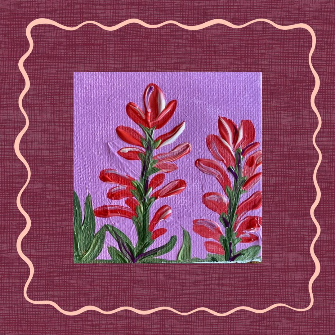 Indian Paintbrush Mini