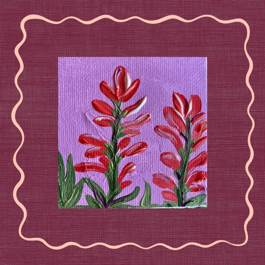 Indian Paintbrush Mini