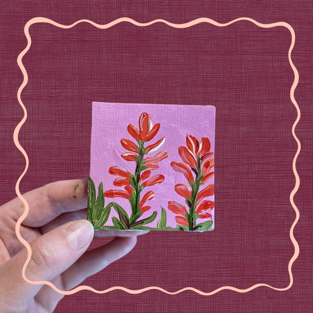 Indian Paintbrush Mini