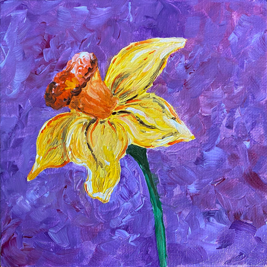 Daffodil - 6x6
