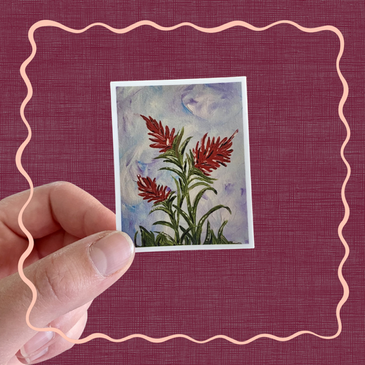 Indian Paintbrush - Sticker